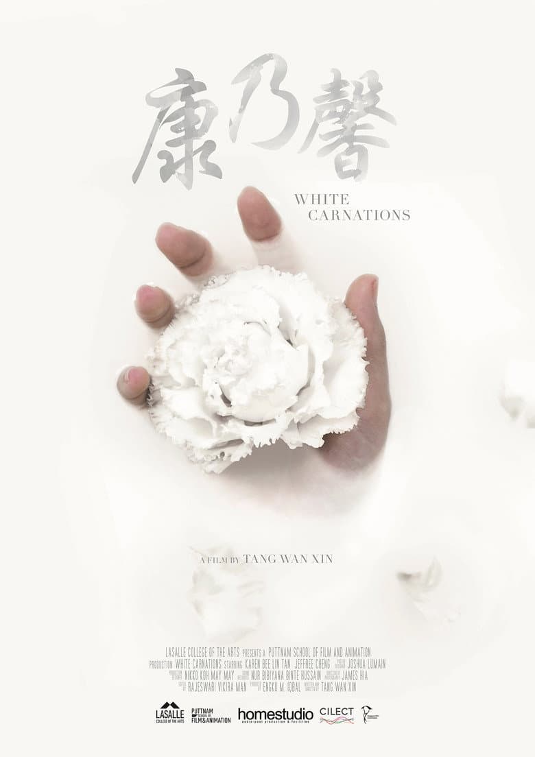 White Carnations poster