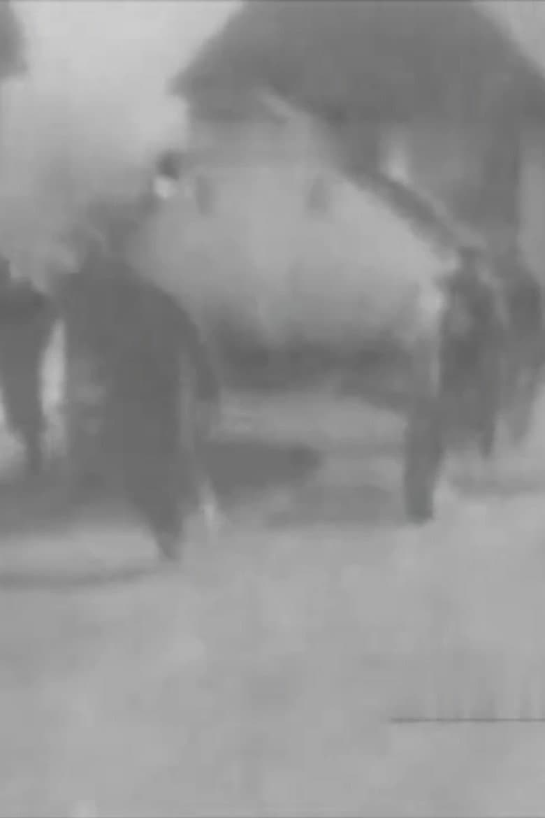 Boat Wagon and Beach Cart poster