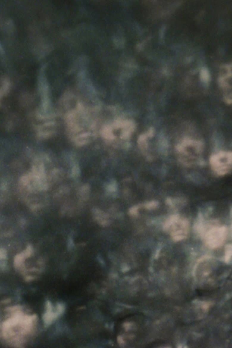 Self Portrait with Bag poster