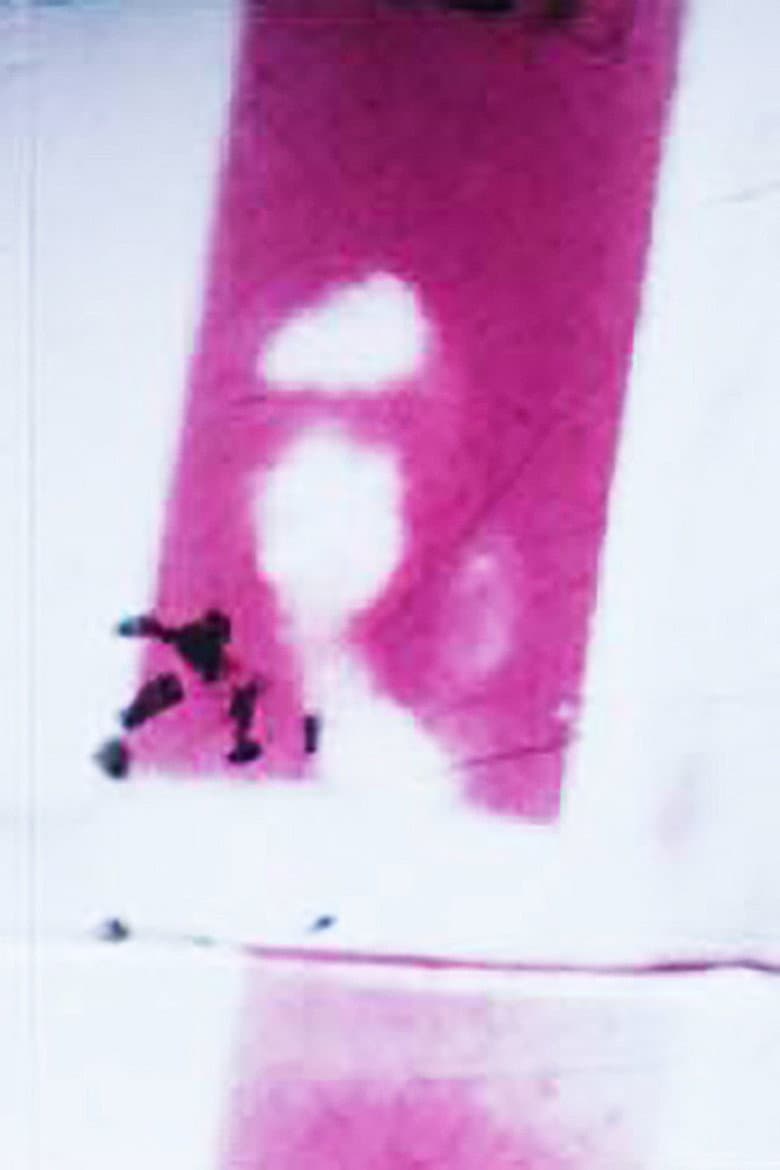 Frames poster