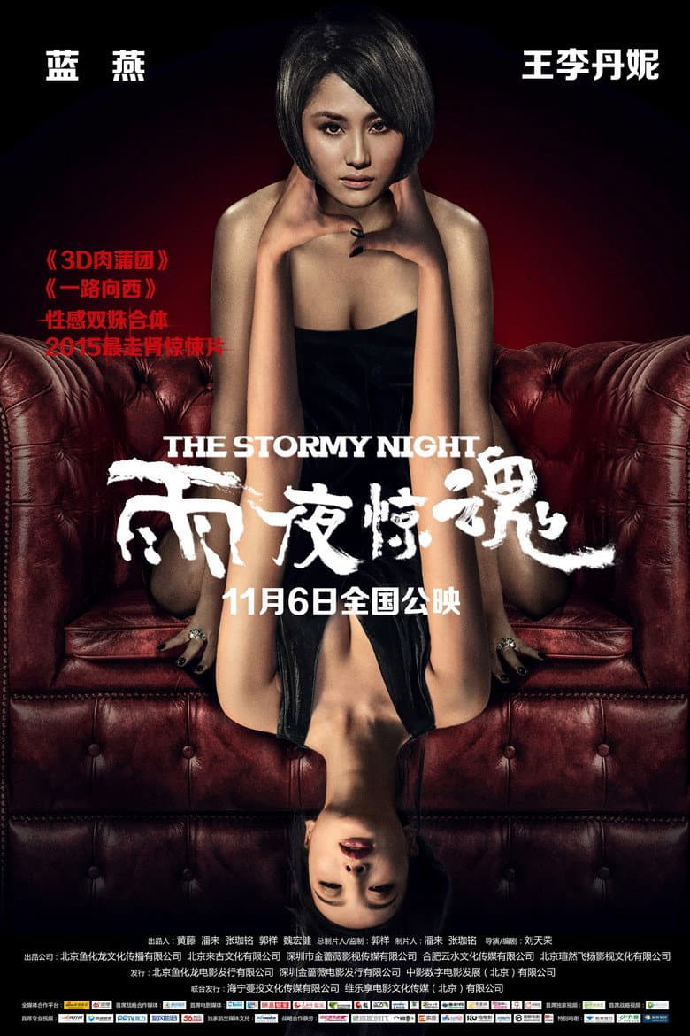 The Stormy Night poster