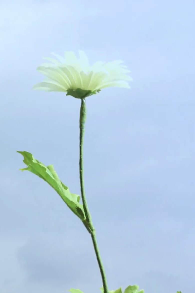 Live or Let Live poster