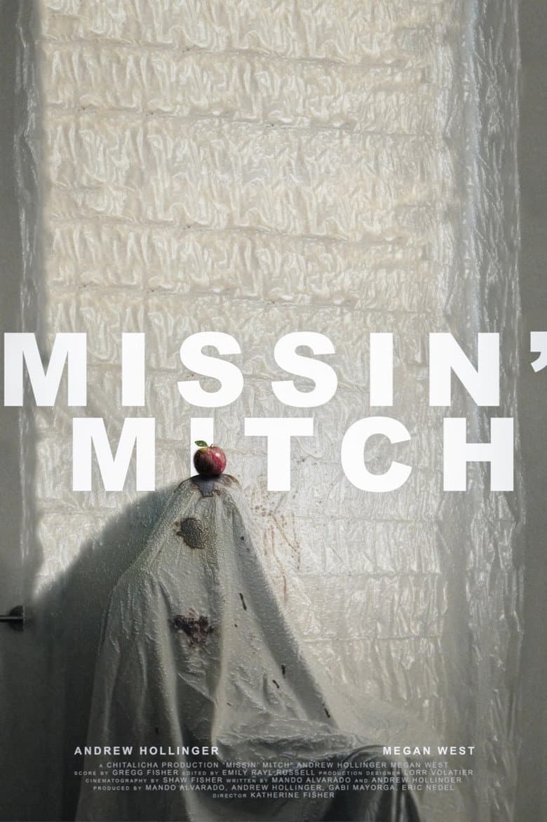 Missin' Mitch poster