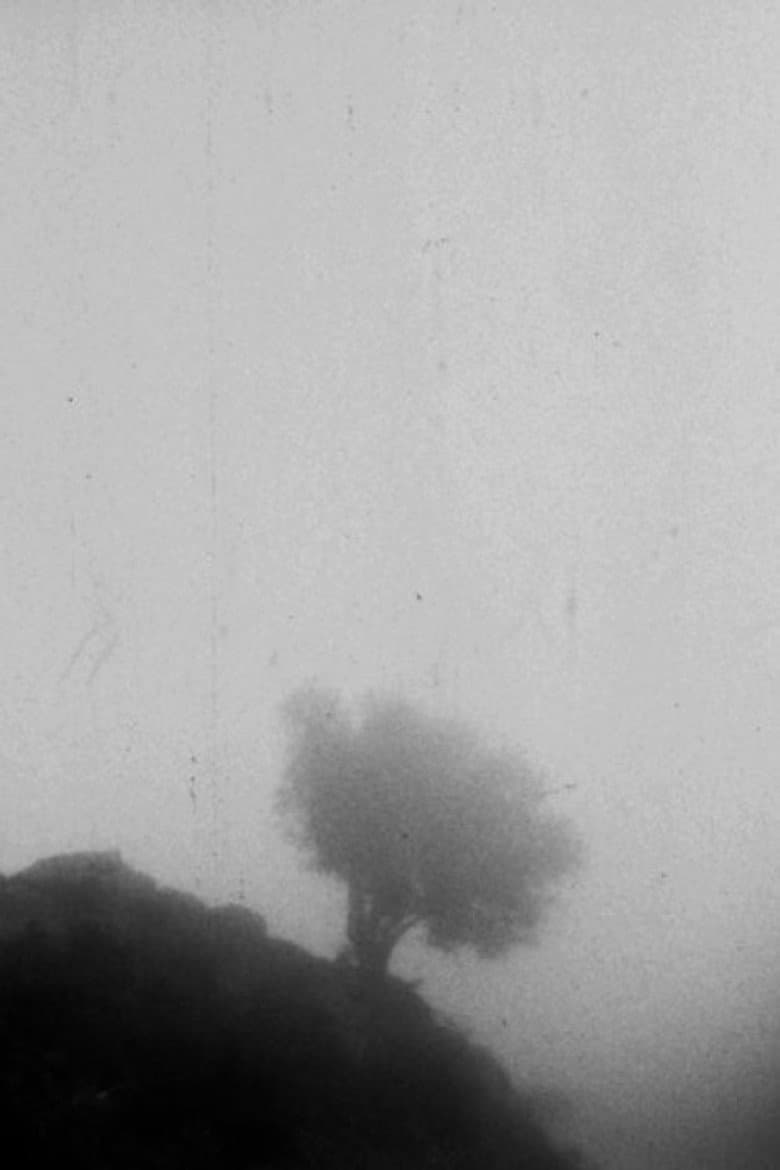Only If You Could See a View Above the Clouds poster