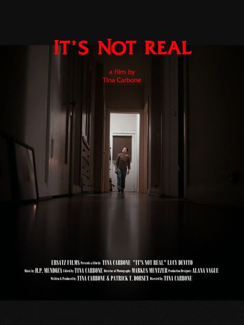 It's Not Real poster