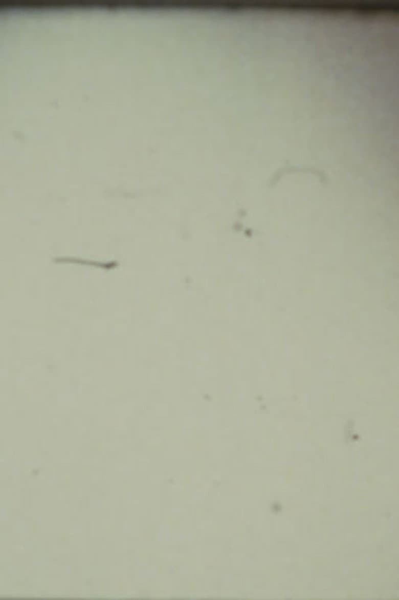 Arabic Numeral Series 13 poster