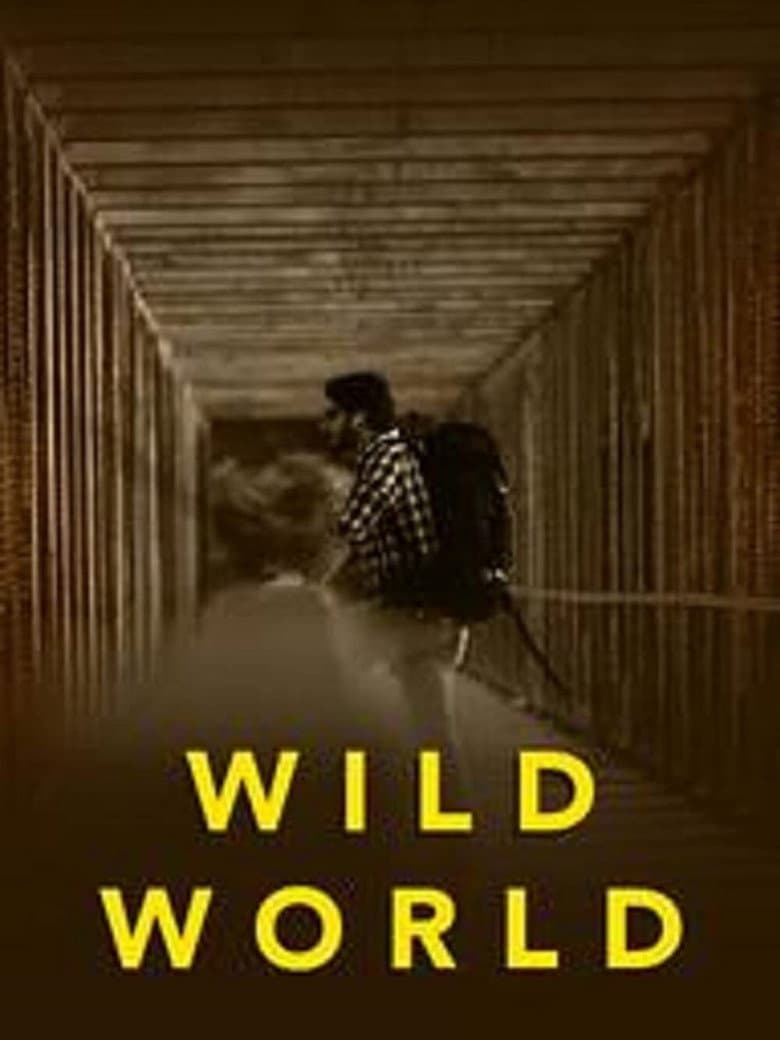 Wild World poster