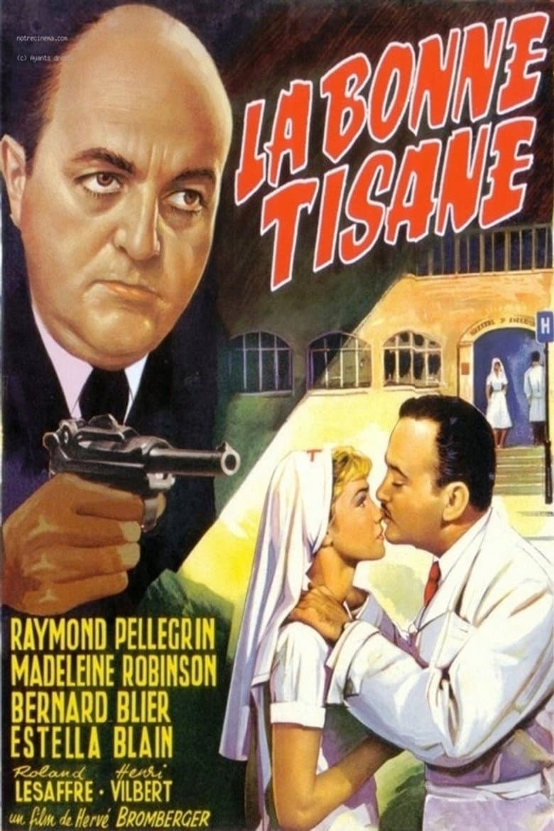 Secrets of a French Nurse poster