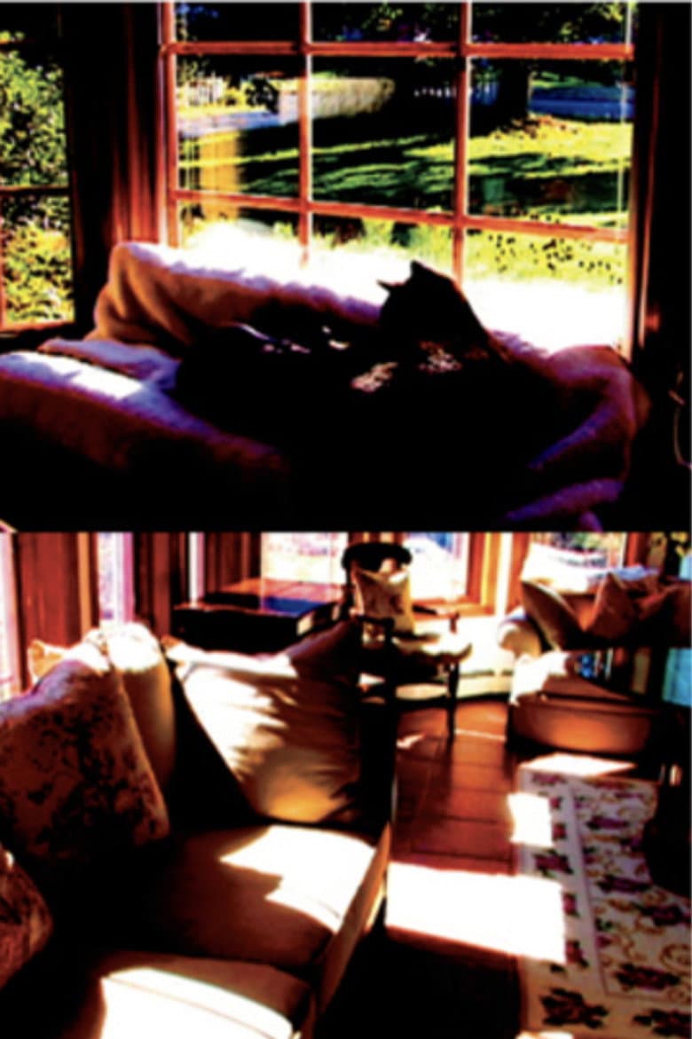 Aberration of Starlight poster