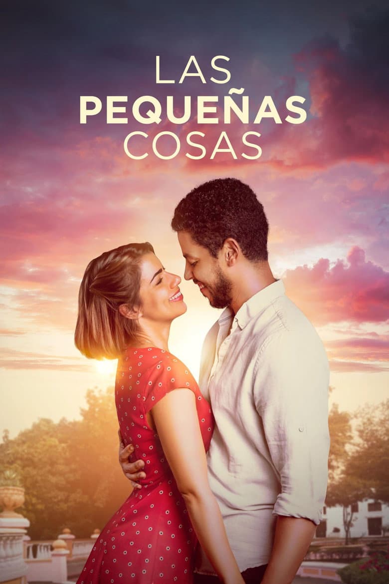 Las pequeñas cosas poster