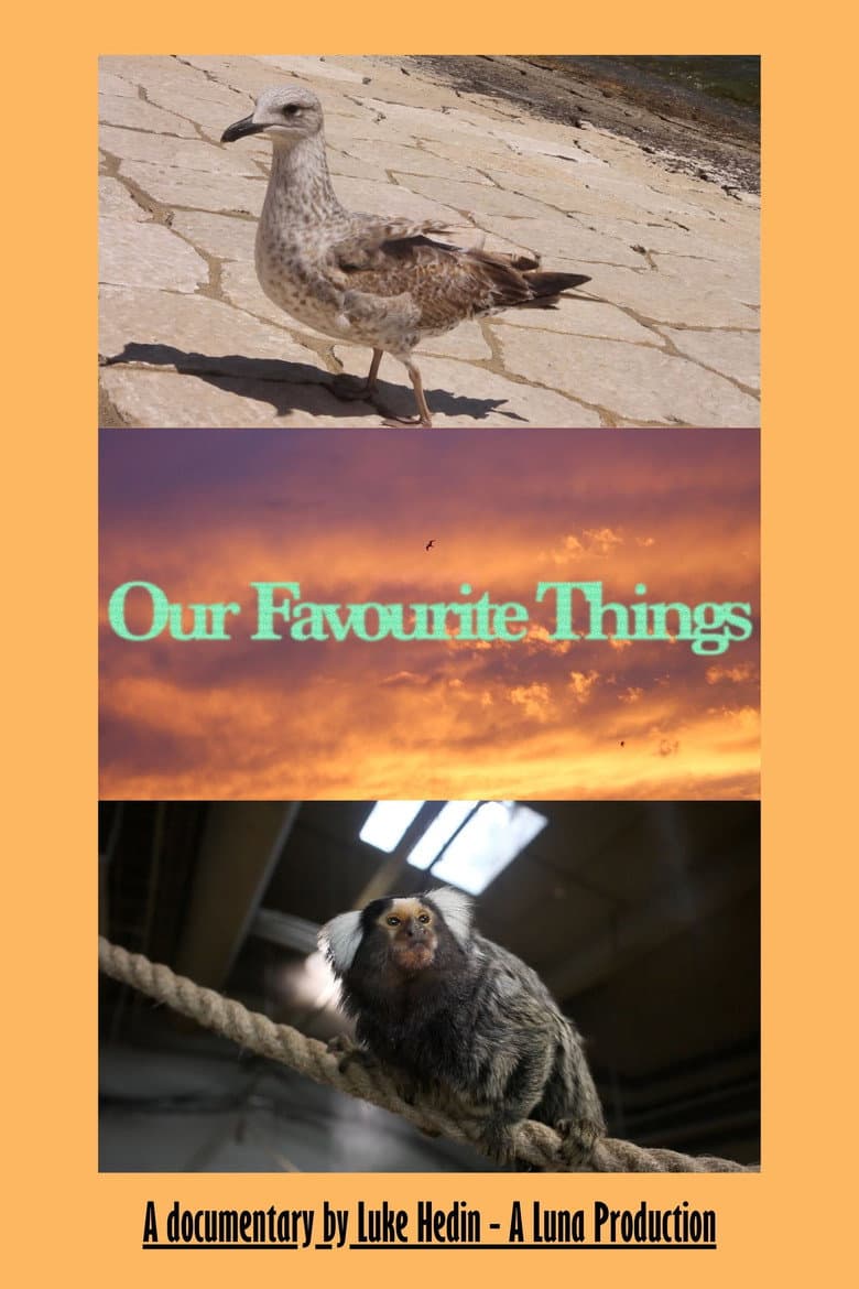 Our Favourite Things poster