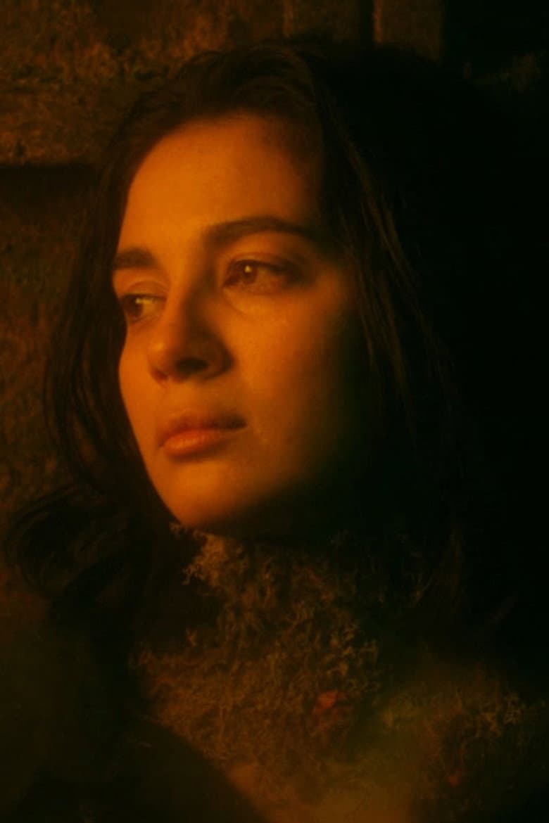 As Spring Comes poster