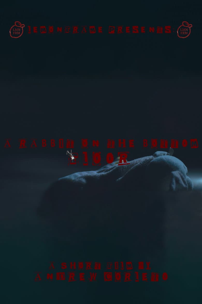 A RABBIT ON THE BOTTOM FLOOR poster