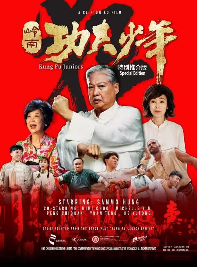 Kung Fu Juniors poster