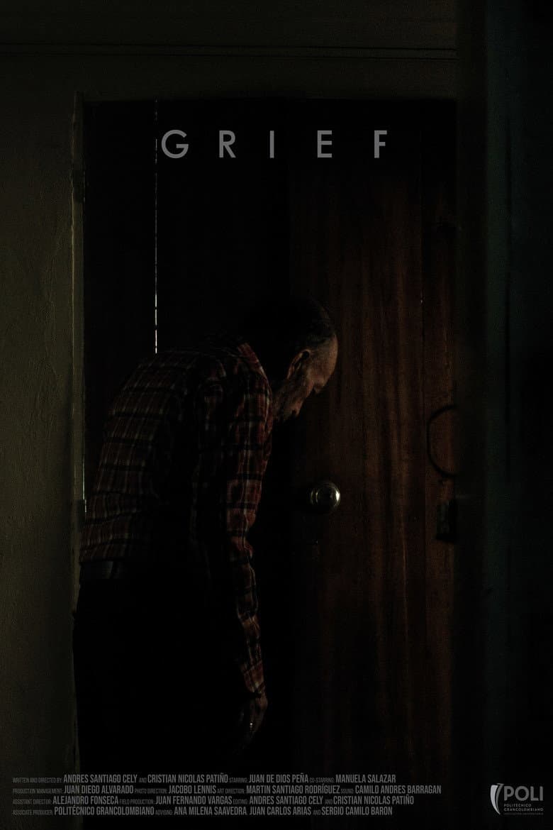Desarraigo poster