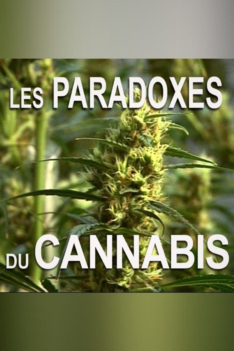 Les paradoxes du cannabis poster
