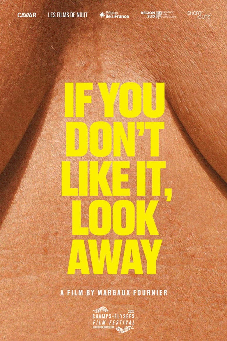 If You Don't Like It, Look Away poster