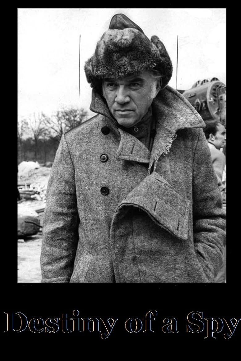 Destiny of a Spy poster