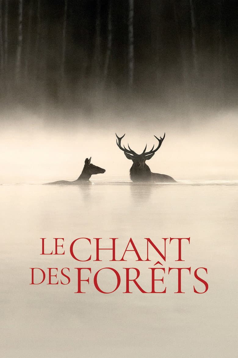 Whispers in the Woods poster