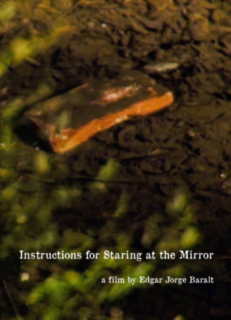 Instructions for Staring at the Mirror poster