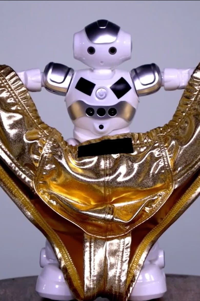 When Panties Fly poster