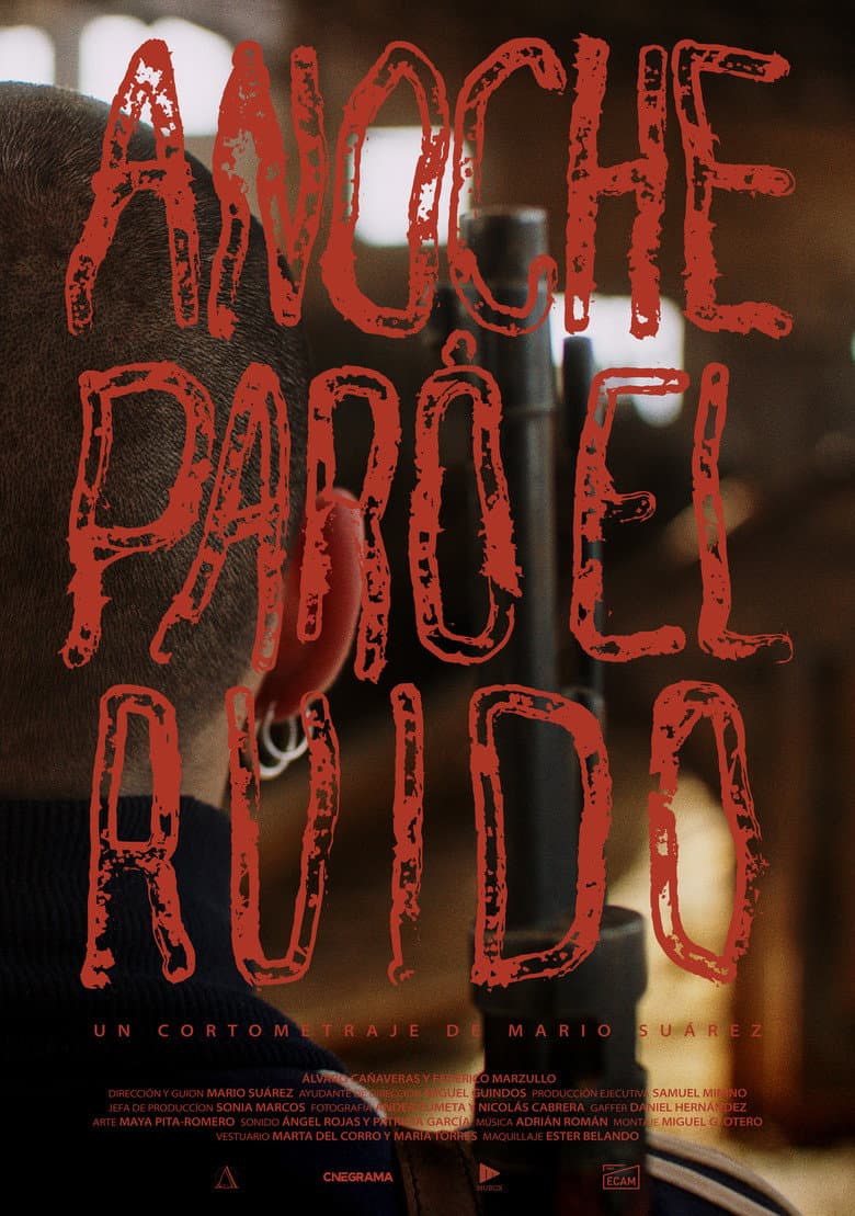 Anoche paró el ruido poster