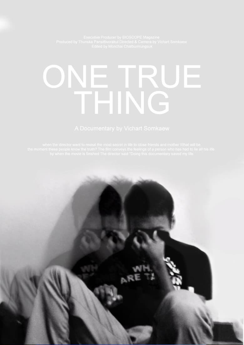 One True Thing poster