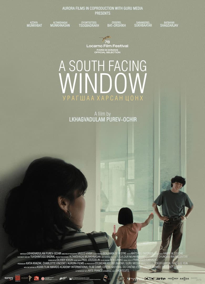 A South Facing Window poster