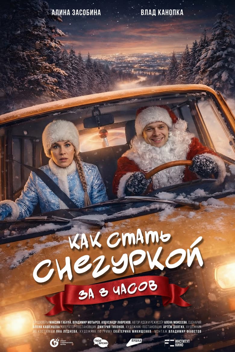How to Become a Snow Maiden in 8 Hours poster