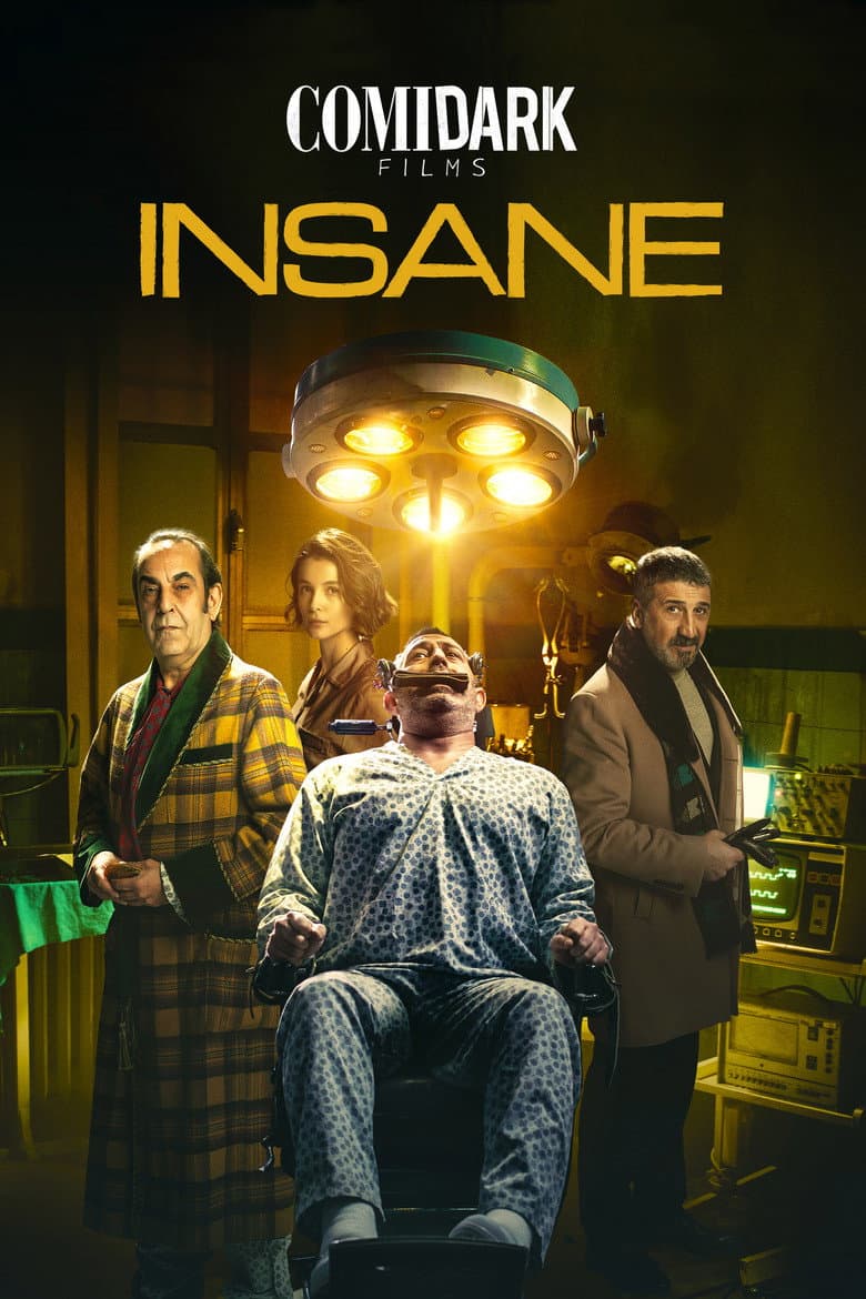 Comidark Films 2: Insane poster