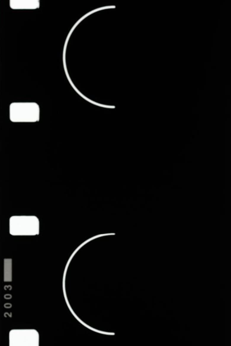 Partial Cone poster
