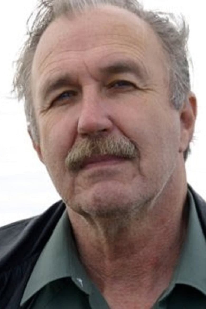 Misty Mountain poster