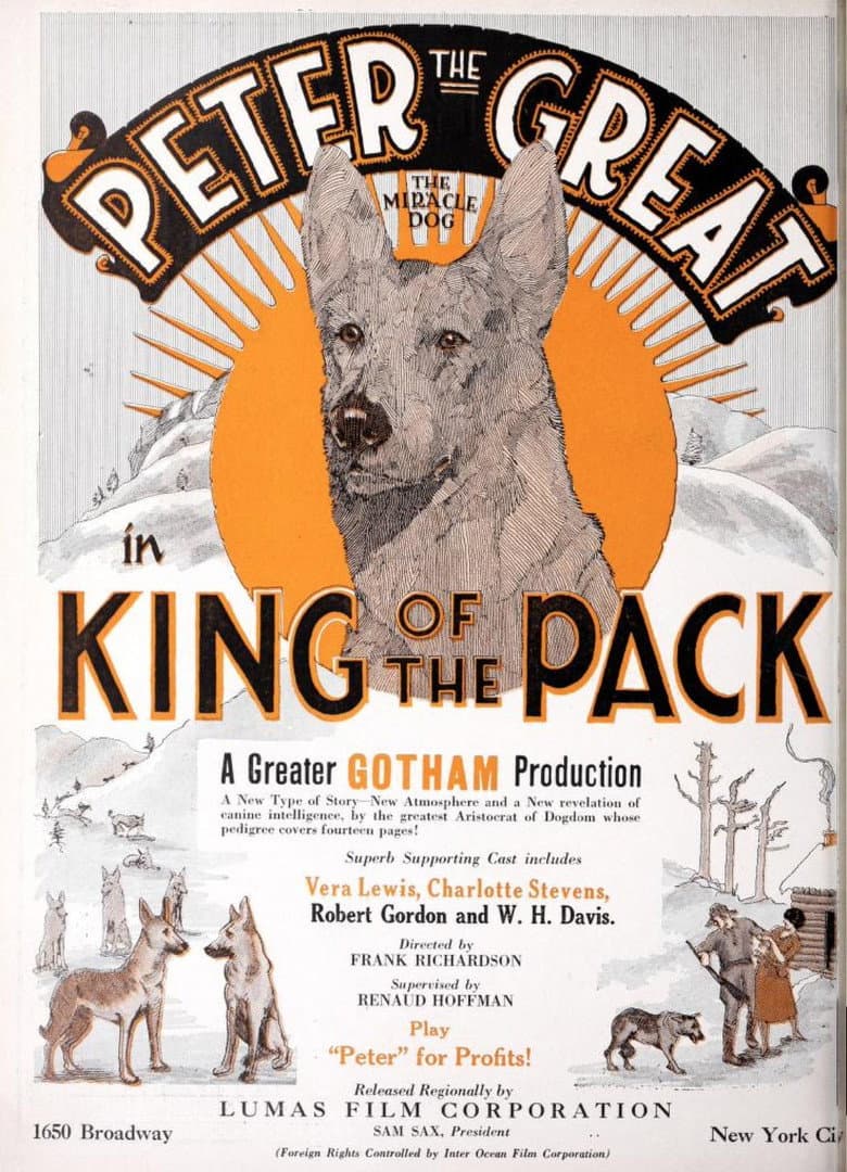 King of the Pack poster
