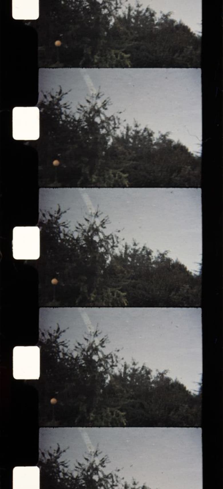 Soleil d'Automne poster