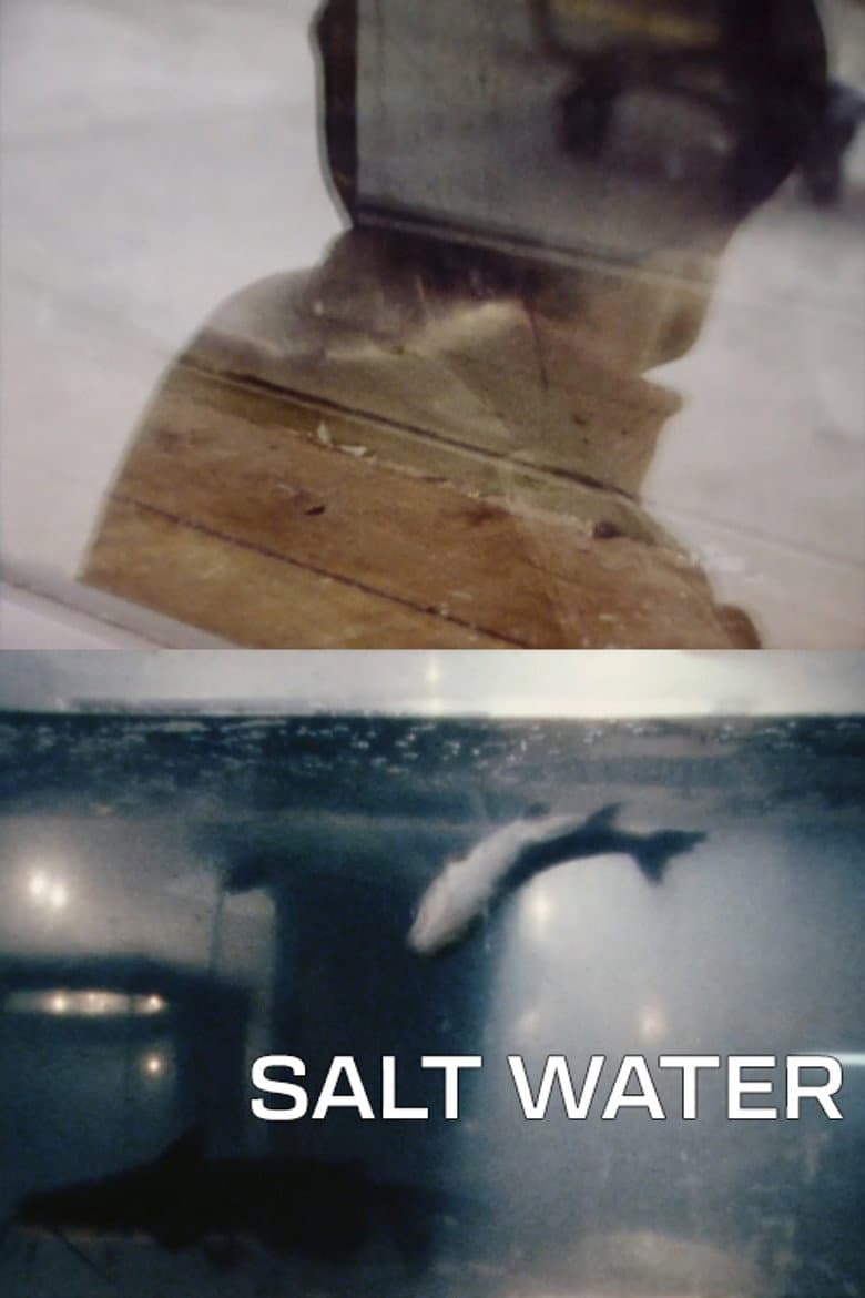 Salt Water poster