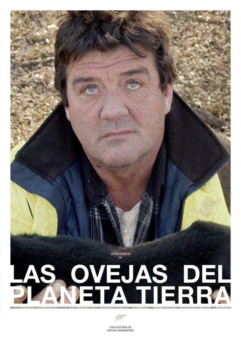 Las ovejas del planeta Tierra poster