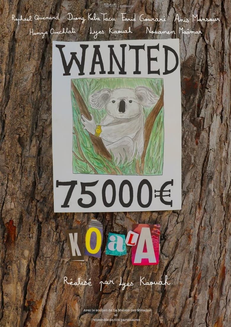 Koala poster