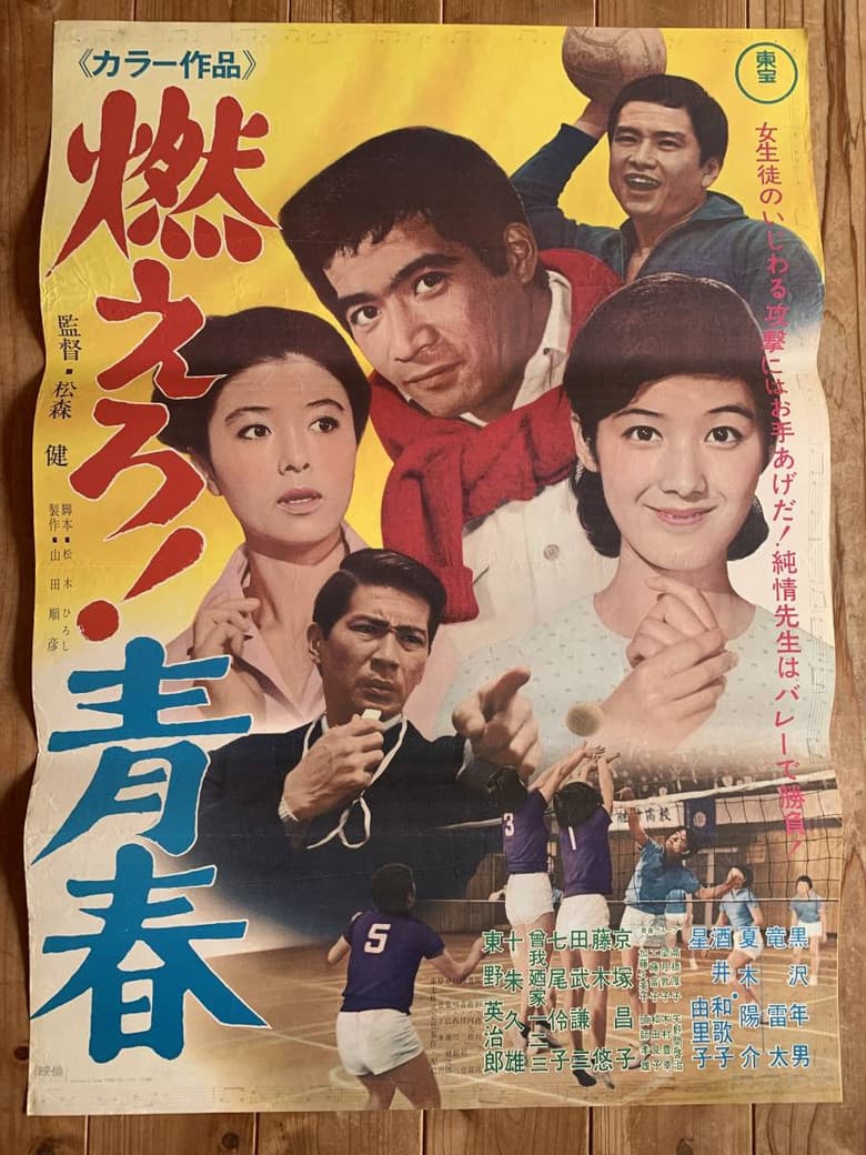 The Flame of Youth poster