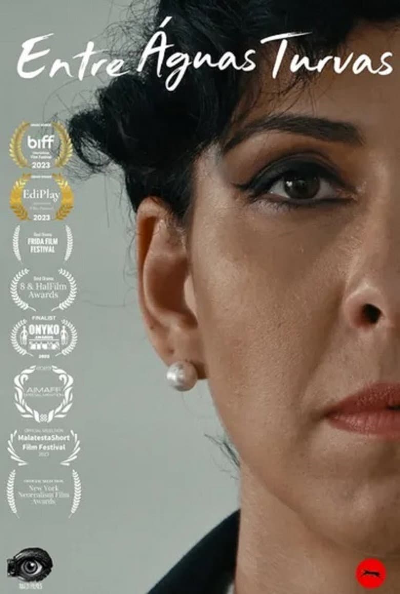 Entre Águas Turvas poster