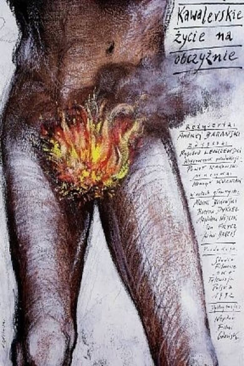 A Bachelor's Life Abroad poster