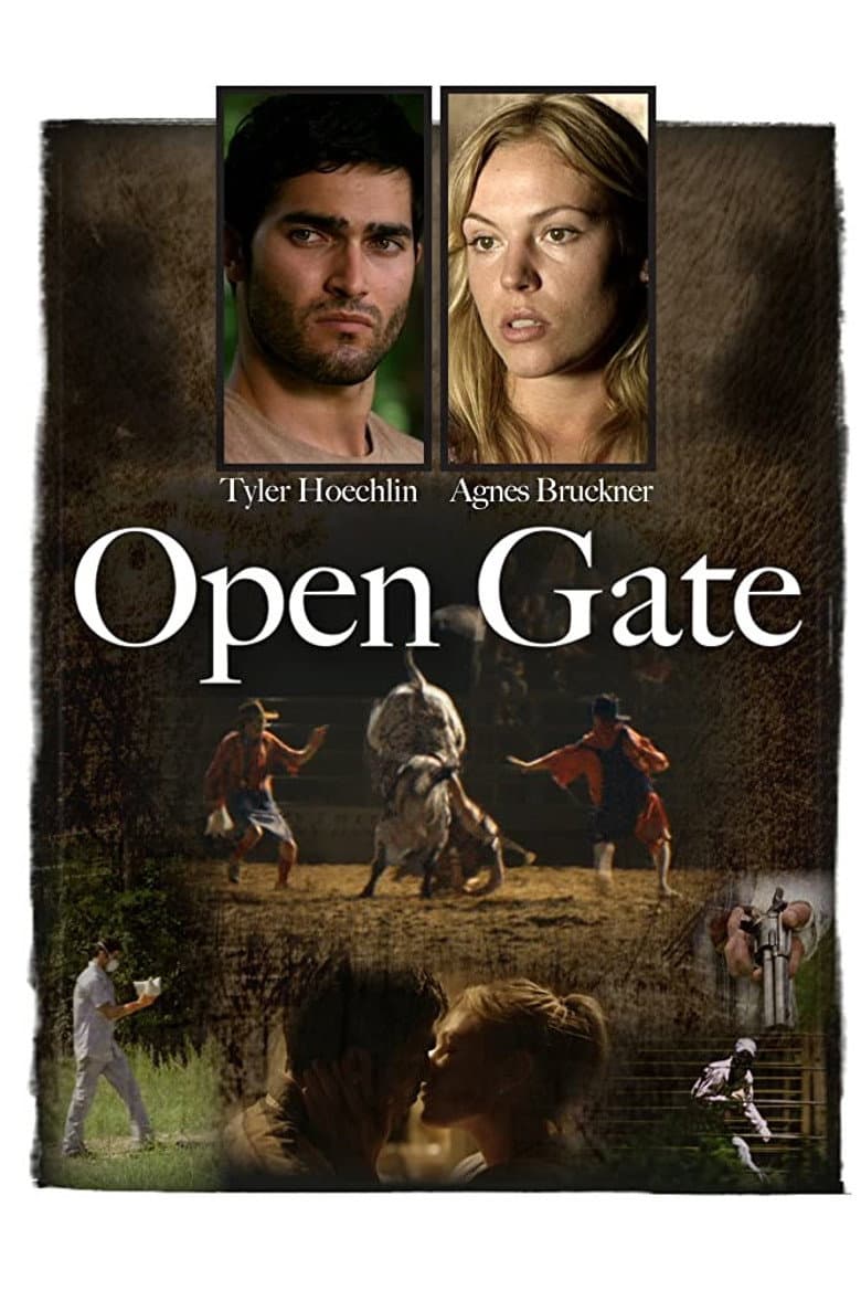 Open Gate poster