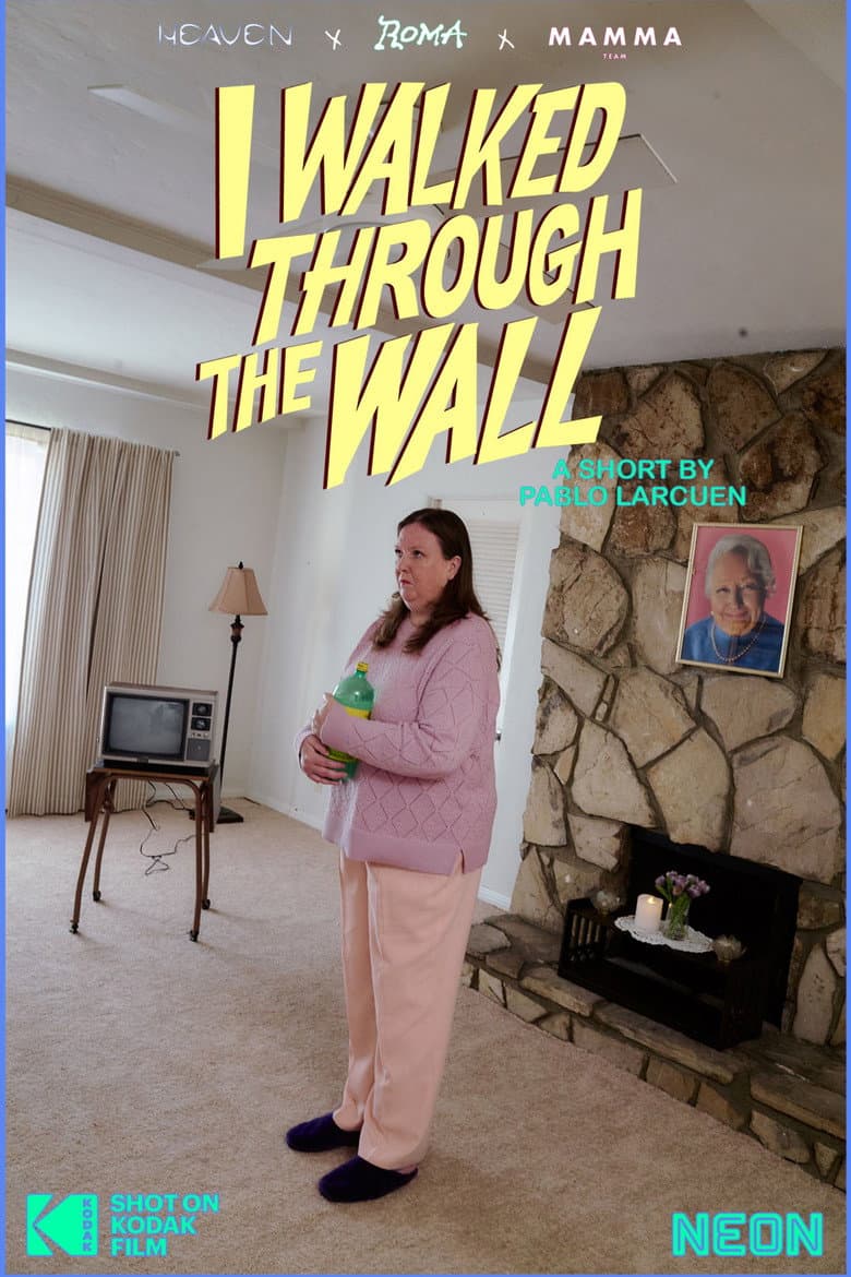 I Walked Through the Wall poster