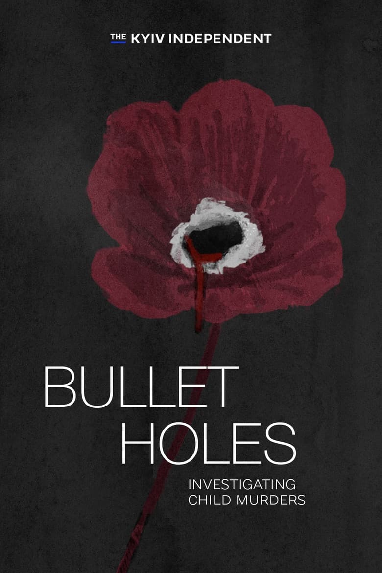 Bullet Holes. Investigating Child Murders poster