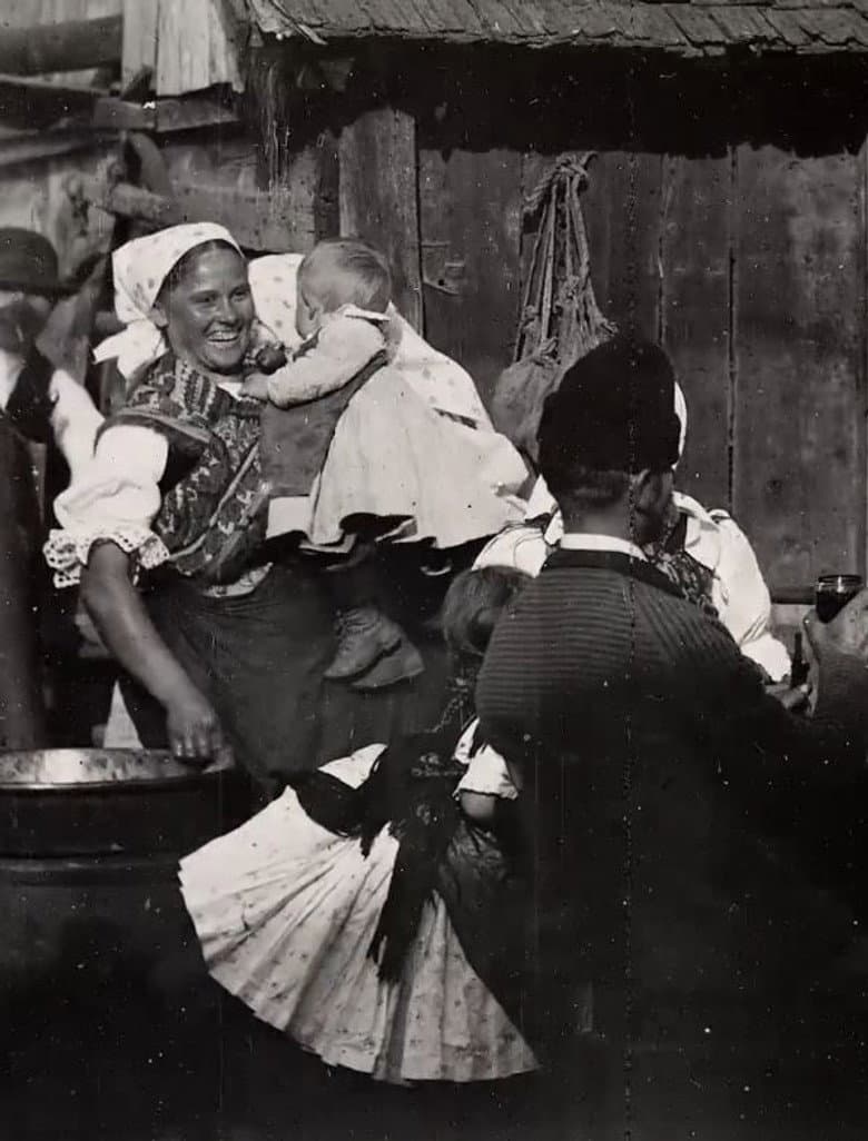 Home Life of a Hungarian Family poster