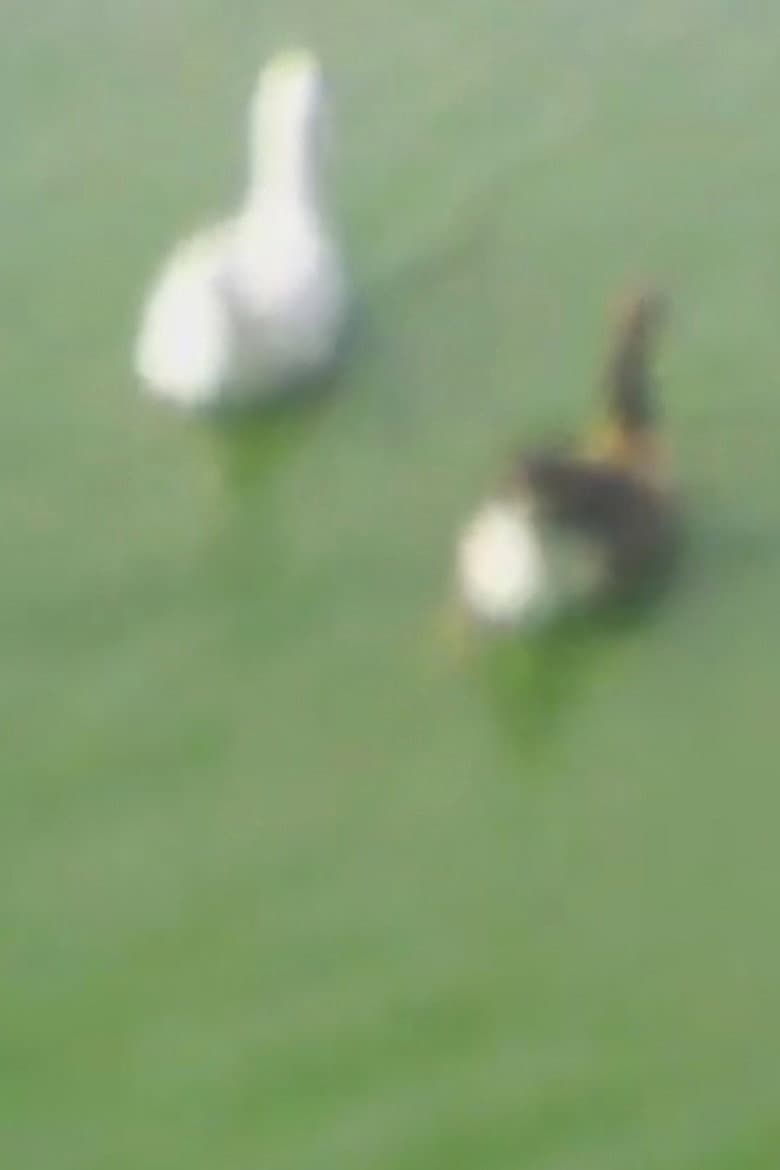 L'état de notre urgence 4 poster