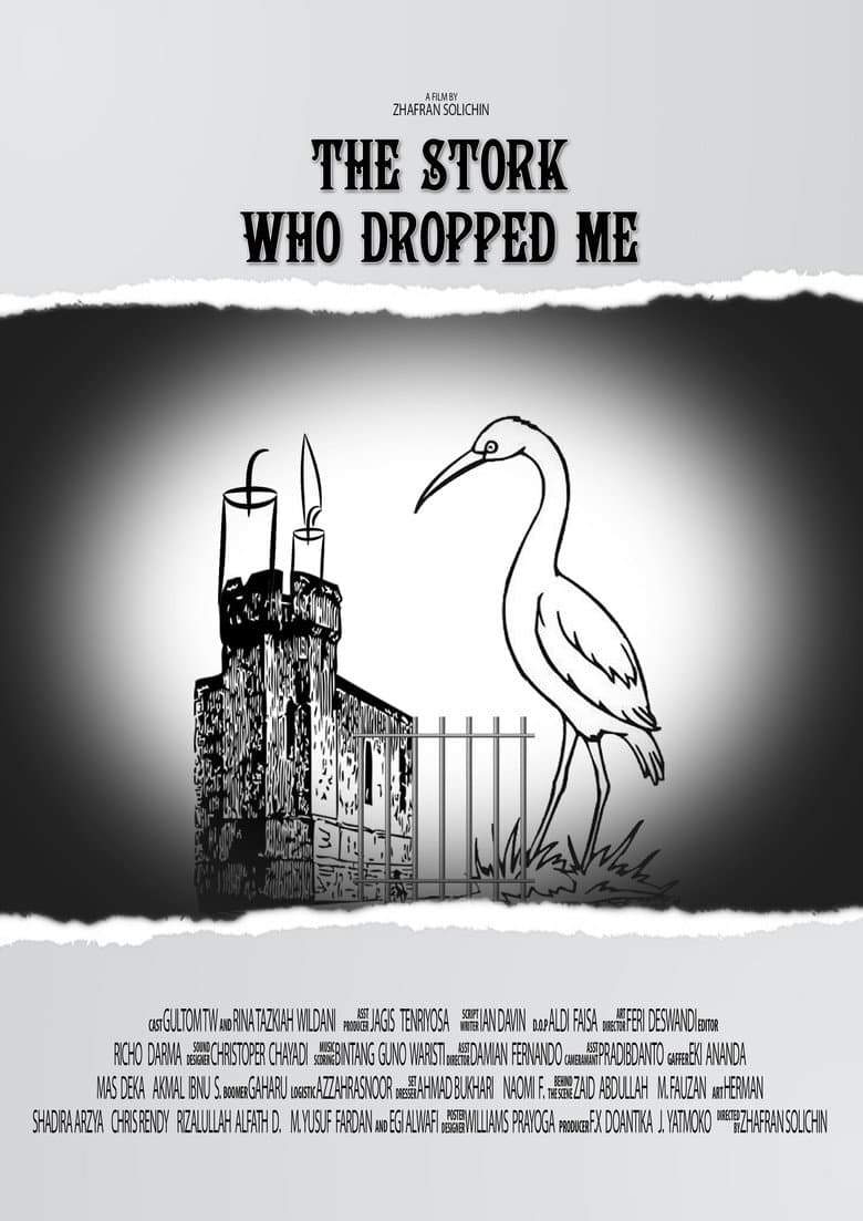 The Stork Who Dropped Me poster