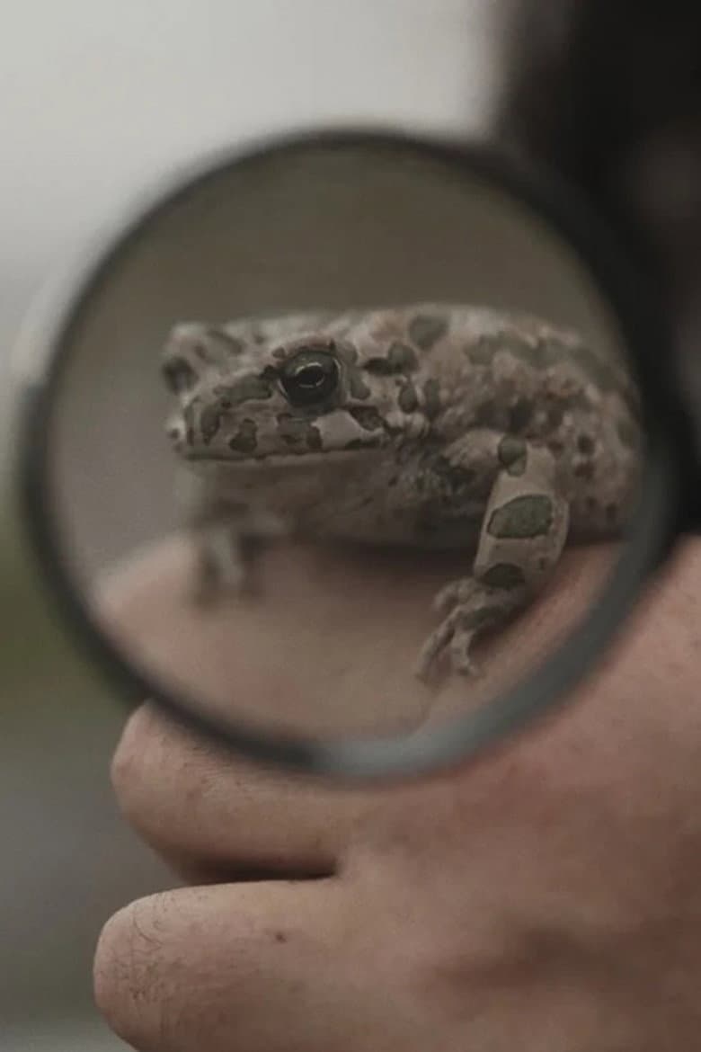 The Snake Hill poster