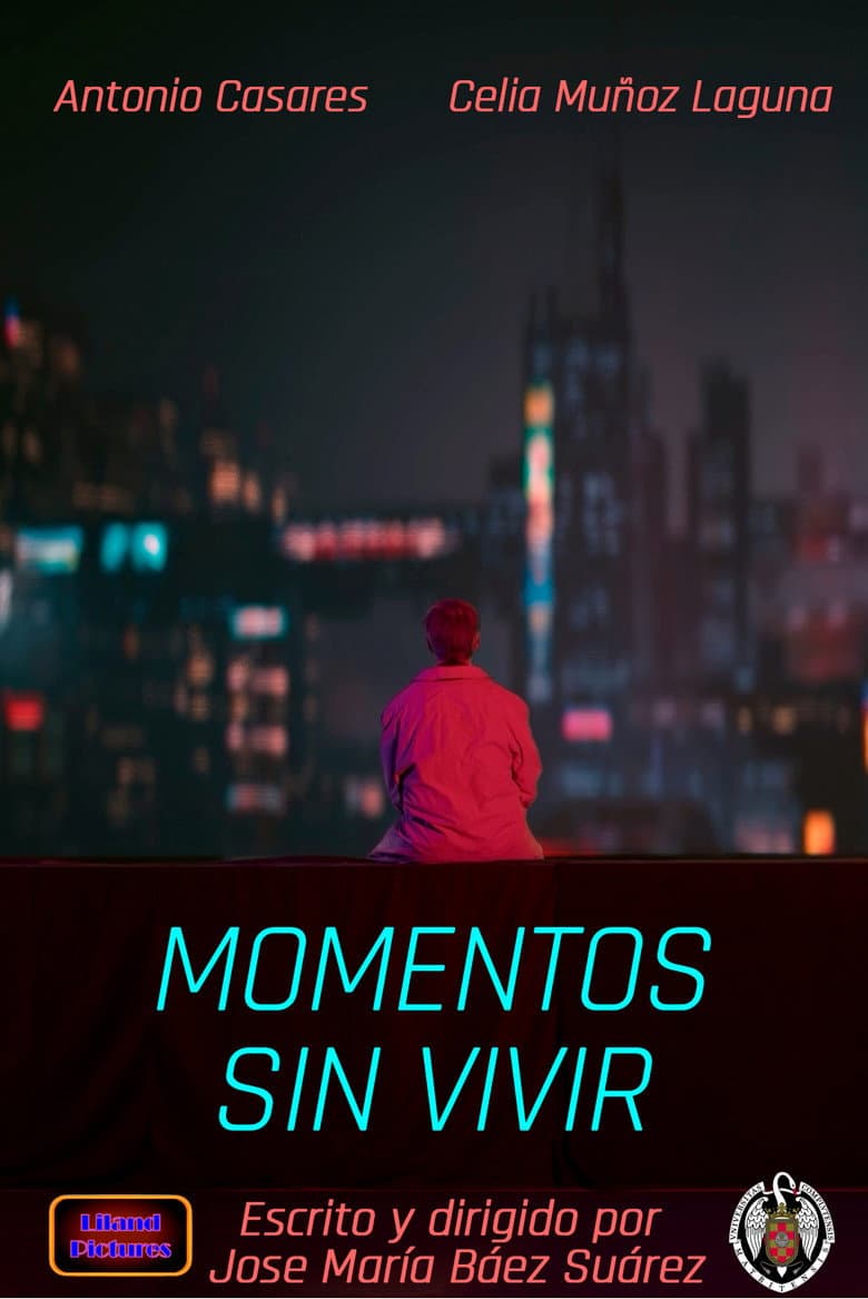 Moments never lived poster