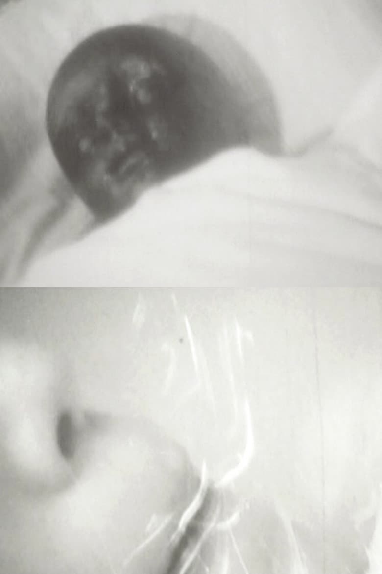 Lazy Virus Of The Afternoon poster