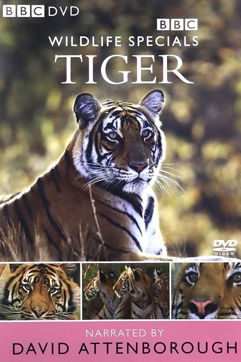Tiger: The Elusive Princess poster